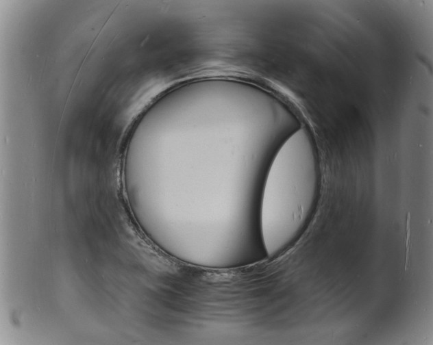 X0000101671415200807101038