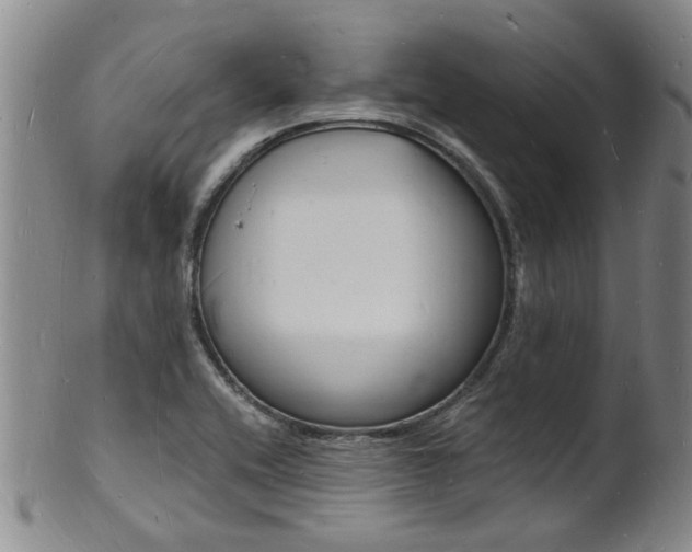 X0000101671416200807101038