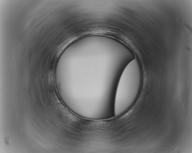 X0000101671417200807101038