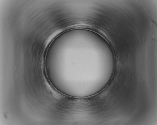 X0000101671418200807101038