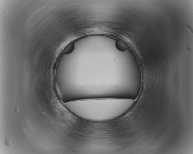 X0000101671419200807101038