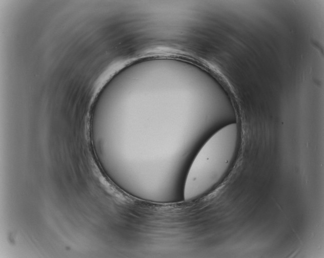 X0000101671421200807101038