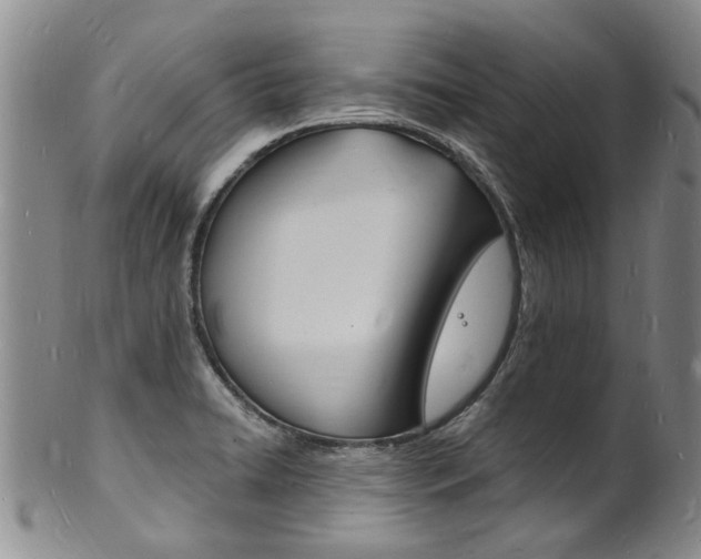 X0000101671422200807101038