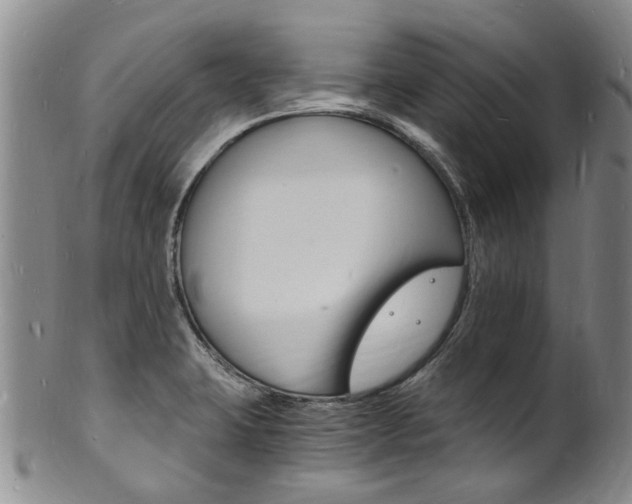 X0000101671423200807101038