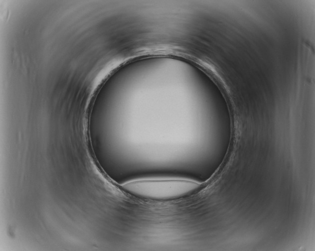 X0000101671424200807101038