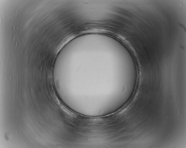 X0000101671425200807101038