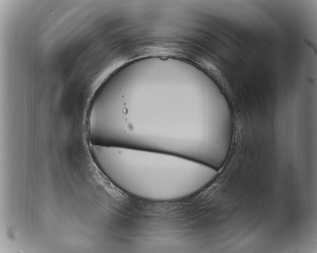 X0000101671427200807101038