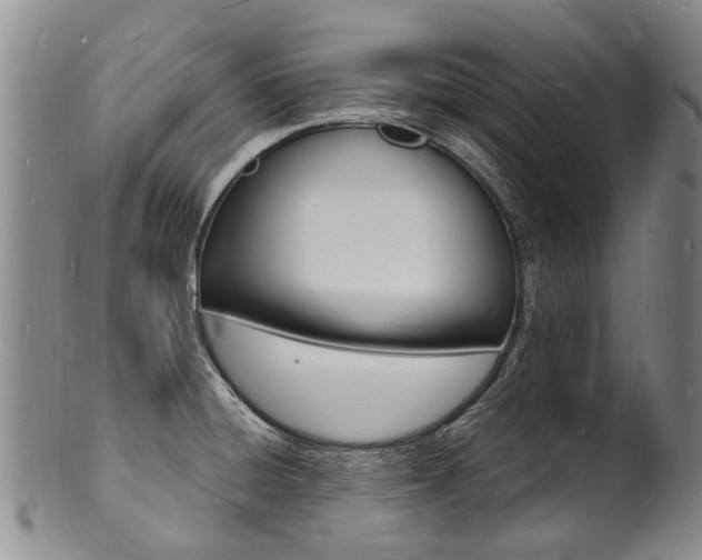 X0000101671428200807101038