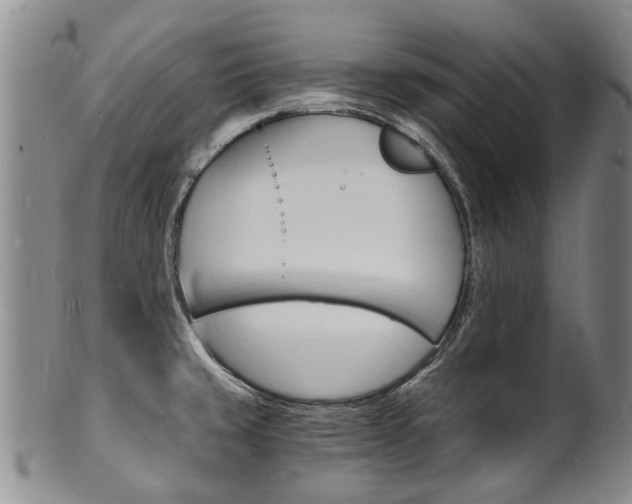 X0000101671429200807101038