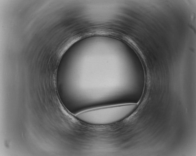 X0000101671433200807101039