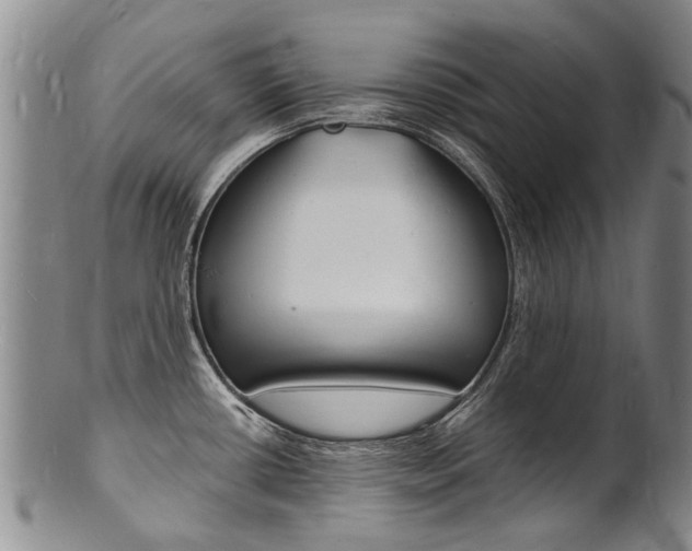 X0000101671434200807101039