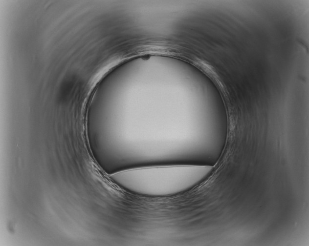 X0000101671435200807101039