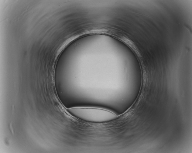 X0000101671436200807101039