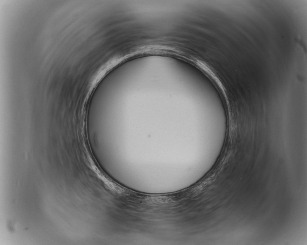 X0000101671437200807101039