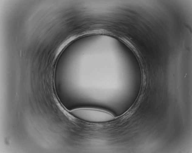 X0000101671438200807101039