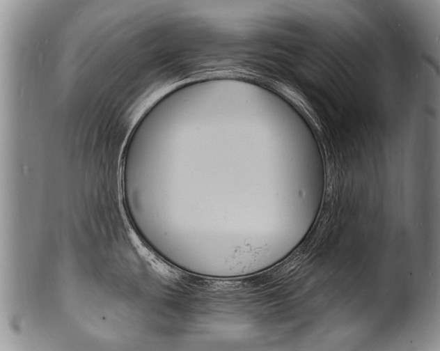 X0000101671439200807101039