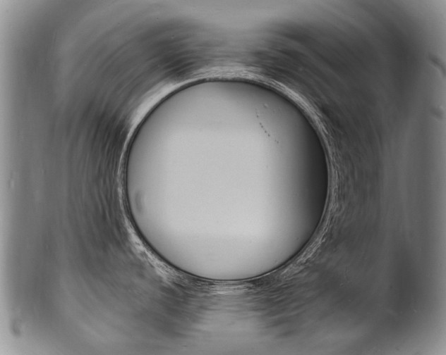 X0000101671440200807101039