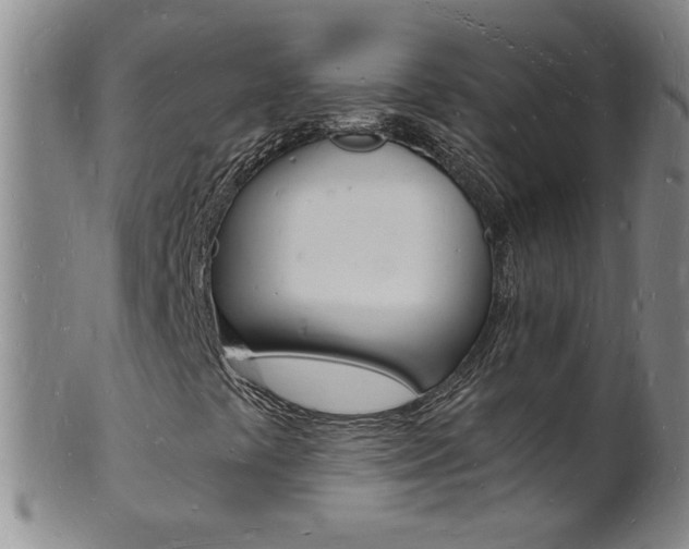 X0000101671441200807101038