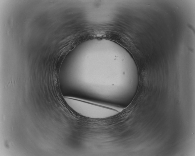 X0000101671442200807101038