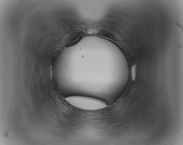 X0000101671443200807101038
