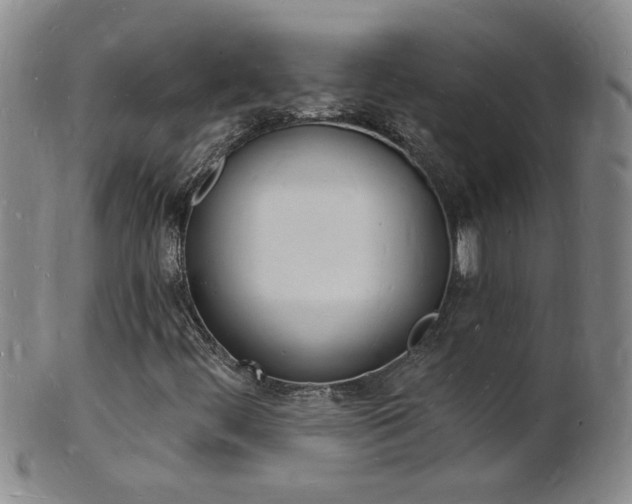 X0000101671444200807101038