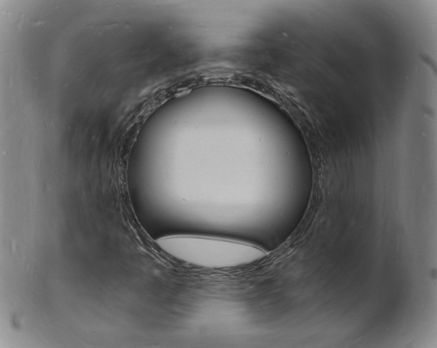 X0000101671445200807101038