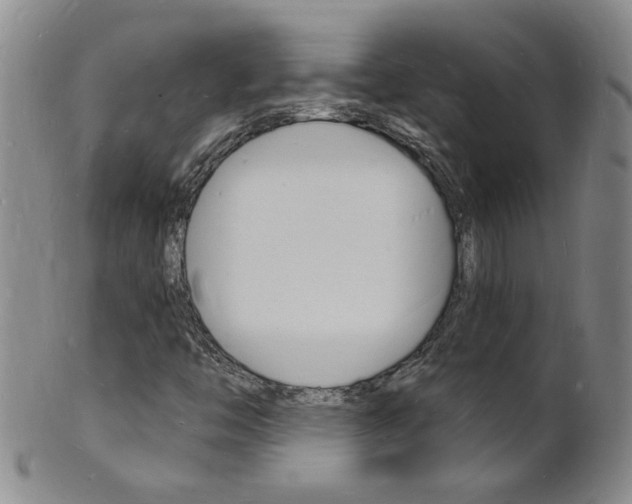 X0000101671446200807101038