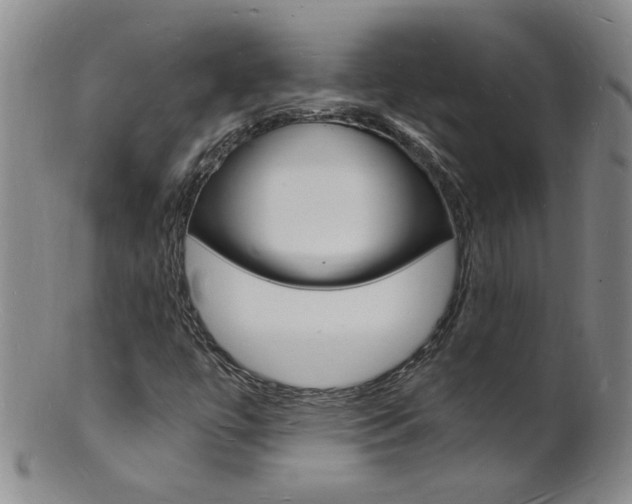 X0000101671447200807101038