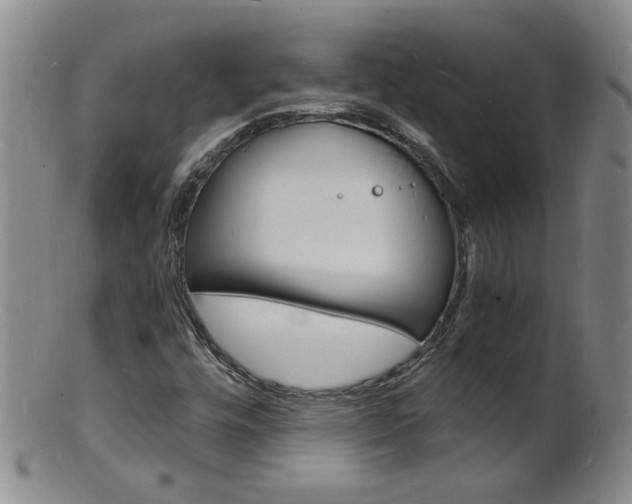X0000101671448200807101038