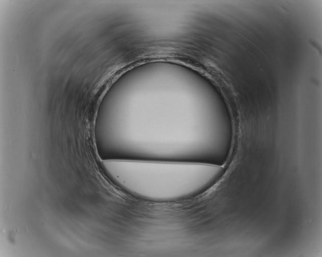 X0000101671449200807101038
