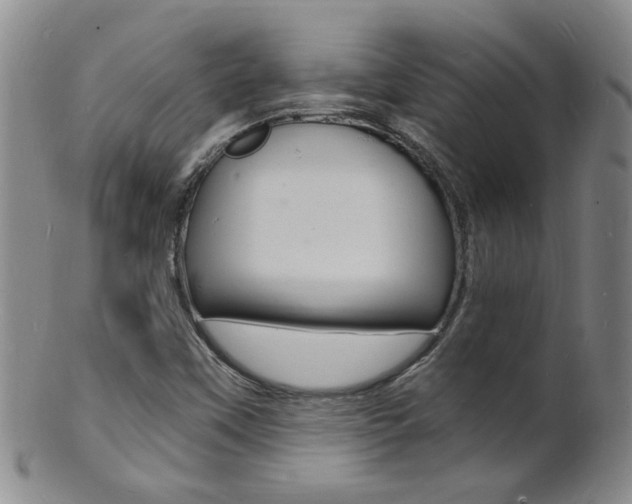 X0000101671451200807101038
