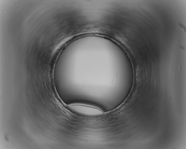 X0000101671452200807101038