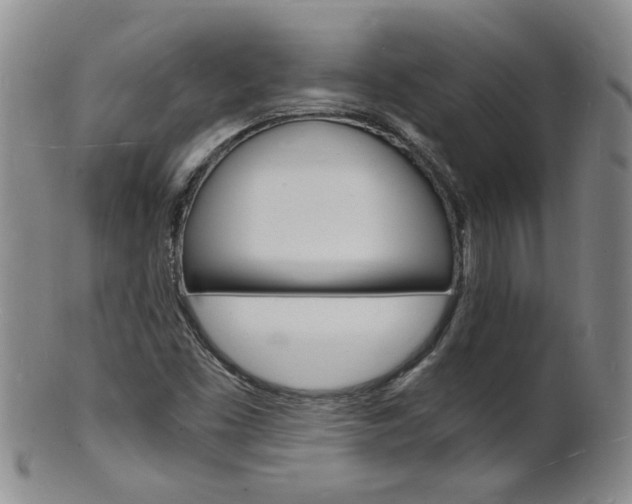 X0000101671453200807101038
