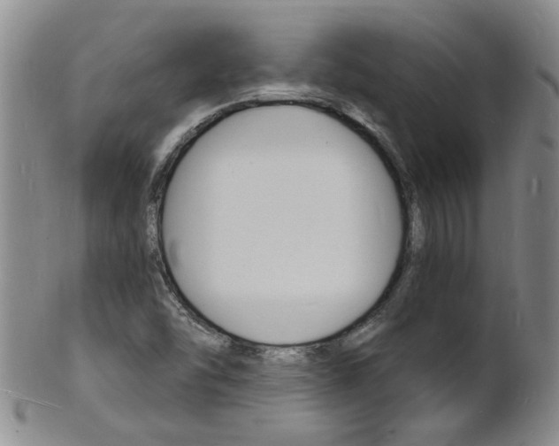 X0000101671454200807101038