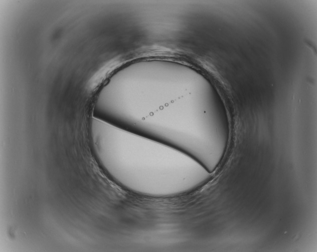 X0000101671455200807101038