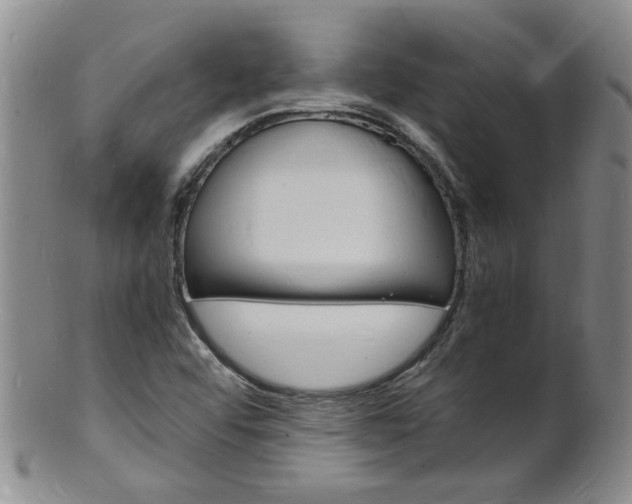 X0000101671456200807101038