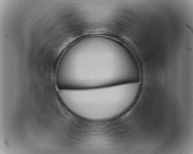 X0000101671457200807101038