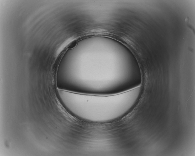 X0000101671458200807101038