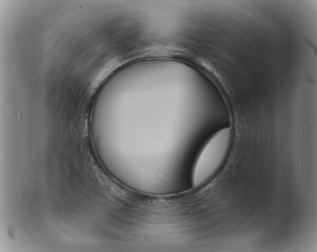 X0000101671459200807101038