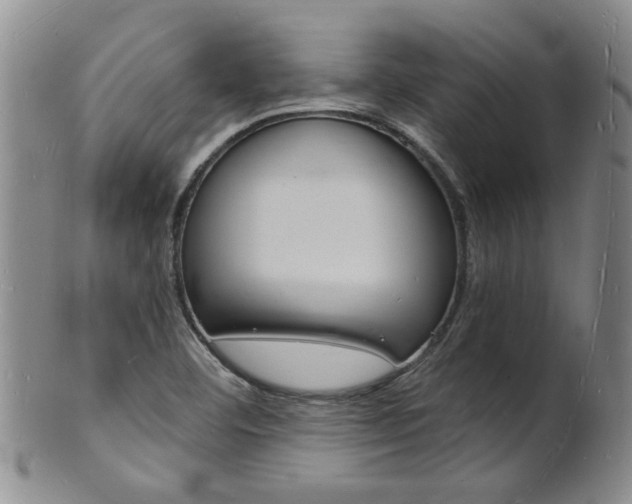 X0000101671460200807101038