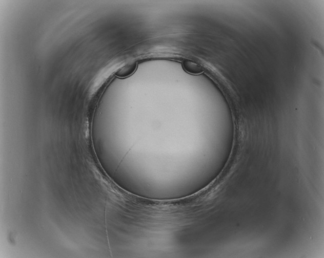 X0000101671461200807101038