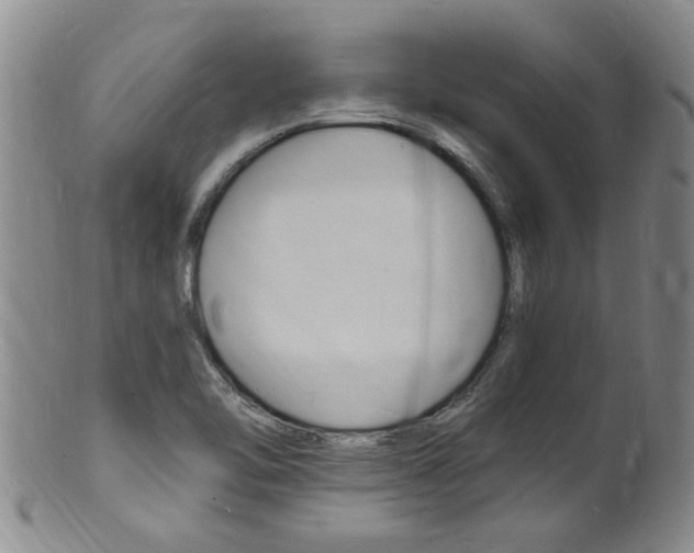 X0000101671462200807101038