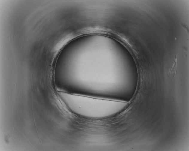 X0000101671463200807101037