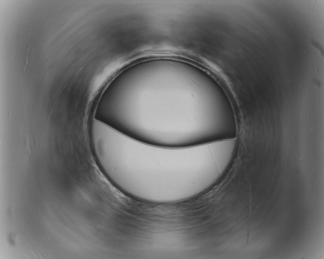X0000101671464200807101037