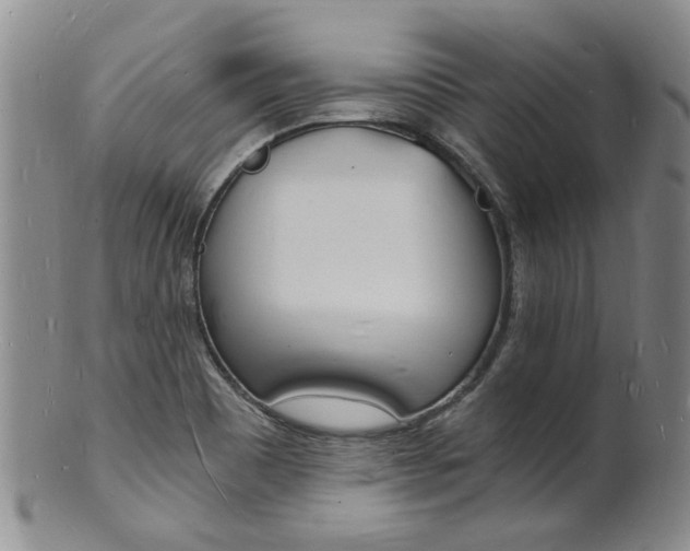 X0000101671465200807101037