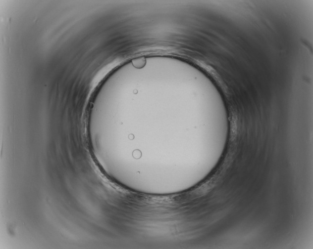 X0000101671466200807101037