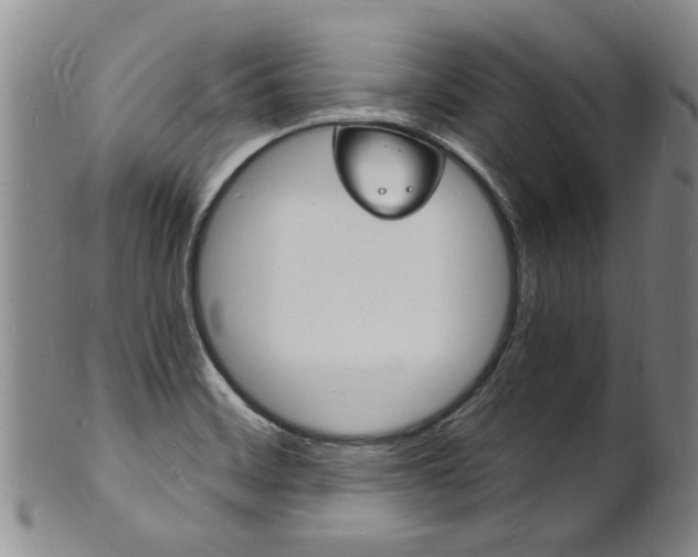 X0000101671468200807101037