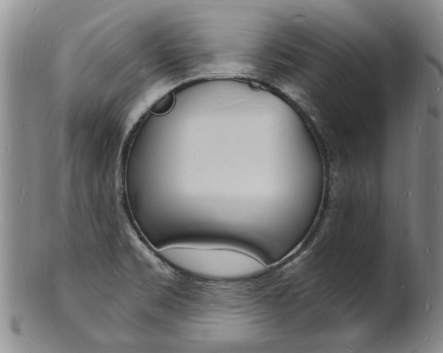 X0000101671469200807101037