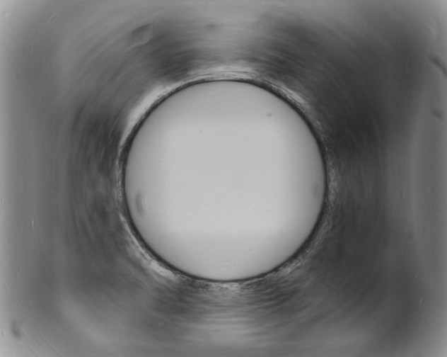 X0000101671470200807101037