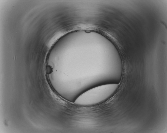 X0000101671471200807101037